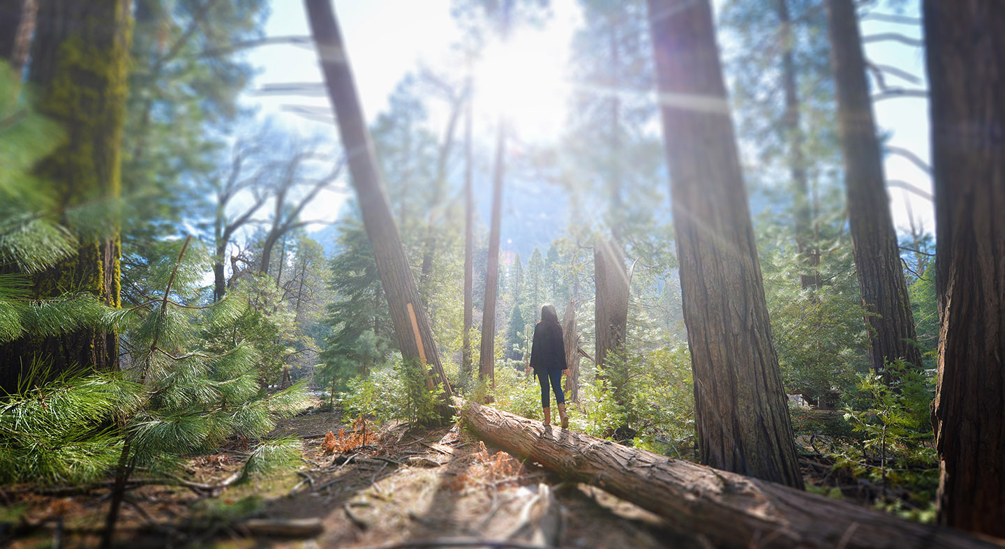 Hiilijalanjäljen hyvittäminen