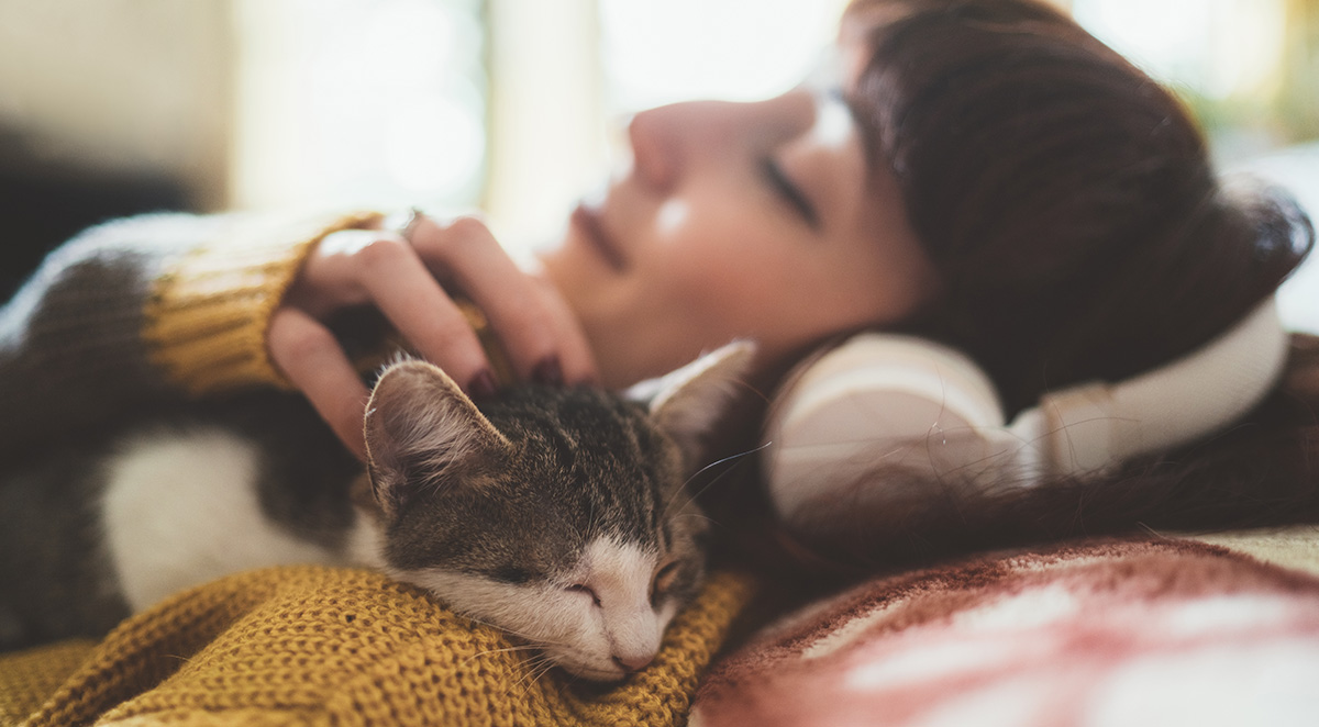 Kissa ja ihminen viihtyvät lämpimässä talossa.